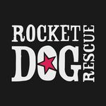 Rocket Dog Rescue 🐾