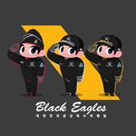 대한민국 공군 특수비행팀 블랙이글스