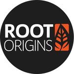 Root Origins CBD