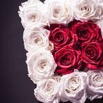 Roses Ever After