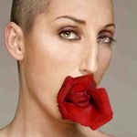 rossydpalma