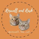 Roswell The Cat (& Rask)