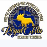 RoyalBluDezinerFrenchies