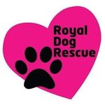 Royal Dog Rescue