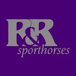 R&R Sporthorses