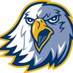 Reinhardt Athletics