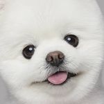 달려라 달리 달려라 달리