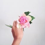 rupi kaur rupi kaur