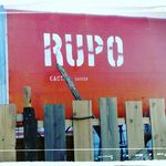 💓RuPo❨多肉専門店❩