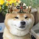 Ryuji Ryuji