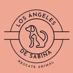 Los Ángeles de Sabina