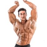 SADIK HADZOVIC SADIK HADZOVIC