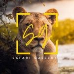 SAFARI GALLERY ๐ฆ SAFARI GALLERY ๐ฆ