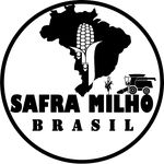 Safra Milho Brasil🌽🇧🇷