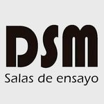 Salas-DSM