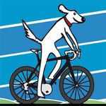 Salt Dog Cycling