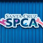 Your Santa Cruz SPCA