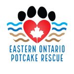 Eastern Ontario Potcake Rescue