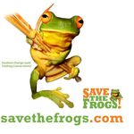 SAVE THE FROGS!