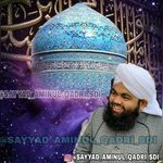 Sayyad Aminul Qadri