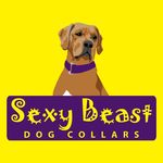 ⇷ Sexy Beast Dog Collars ⇸