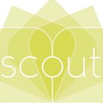 Scout Boutique