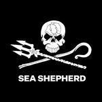 Sea Shepherd