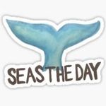 Seas The Day