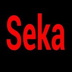 Seka online TV