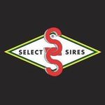 Select Sires Corte