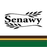 سيناوي Senawy