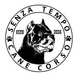 Senza_Tempo_Cane_Corso