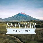 SEPUTAR KAYU ARO