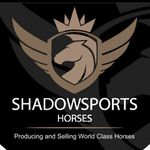 Shadow Sports Horses