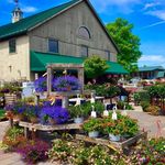 Shady Brook Farm