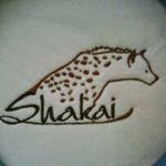 Shakai Clothing