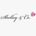 Shelley & Co Inc.