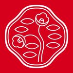 SHISEIDO SHISEIDO