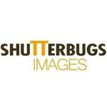 shutterbugs images