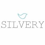 Silvery Jewellery