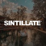 SINTILLATE®📍🌎