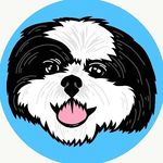 SkeeterTheShihtzu