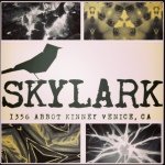 SKYLARK