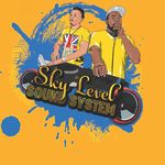 Sky Level Sound System 876