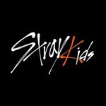 STRAY KIDS 스트레이 키즈