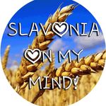 Slavonia On My Mind