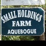 Small Holdings Farm