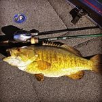 Smallmouth Addict