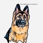 stella the german shepherd 🇨🇦