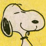 Snoopy And The Peanuts Gang